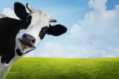 50 ideas de negocios de eBay de Cash Cow para comenzar en 2021