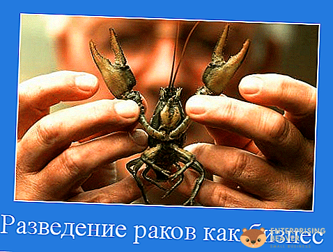 Iniciar un negocio de cultivo de cangrejos