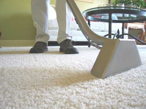 Inicio de una empresa de limpieza de alfombras: plantilla de plan de negocios de muestra