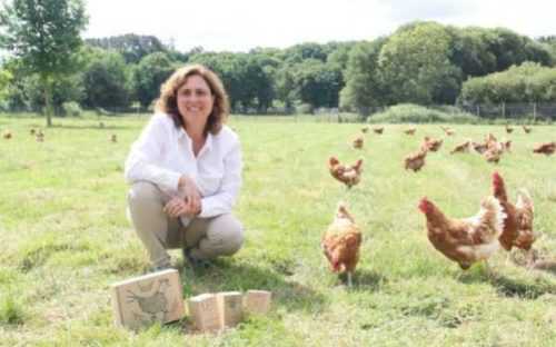 Una muestra de plantilla de plan de negocios de criadero de huevos de gallina