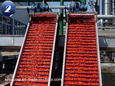 Línea de producción de pasta de tomate