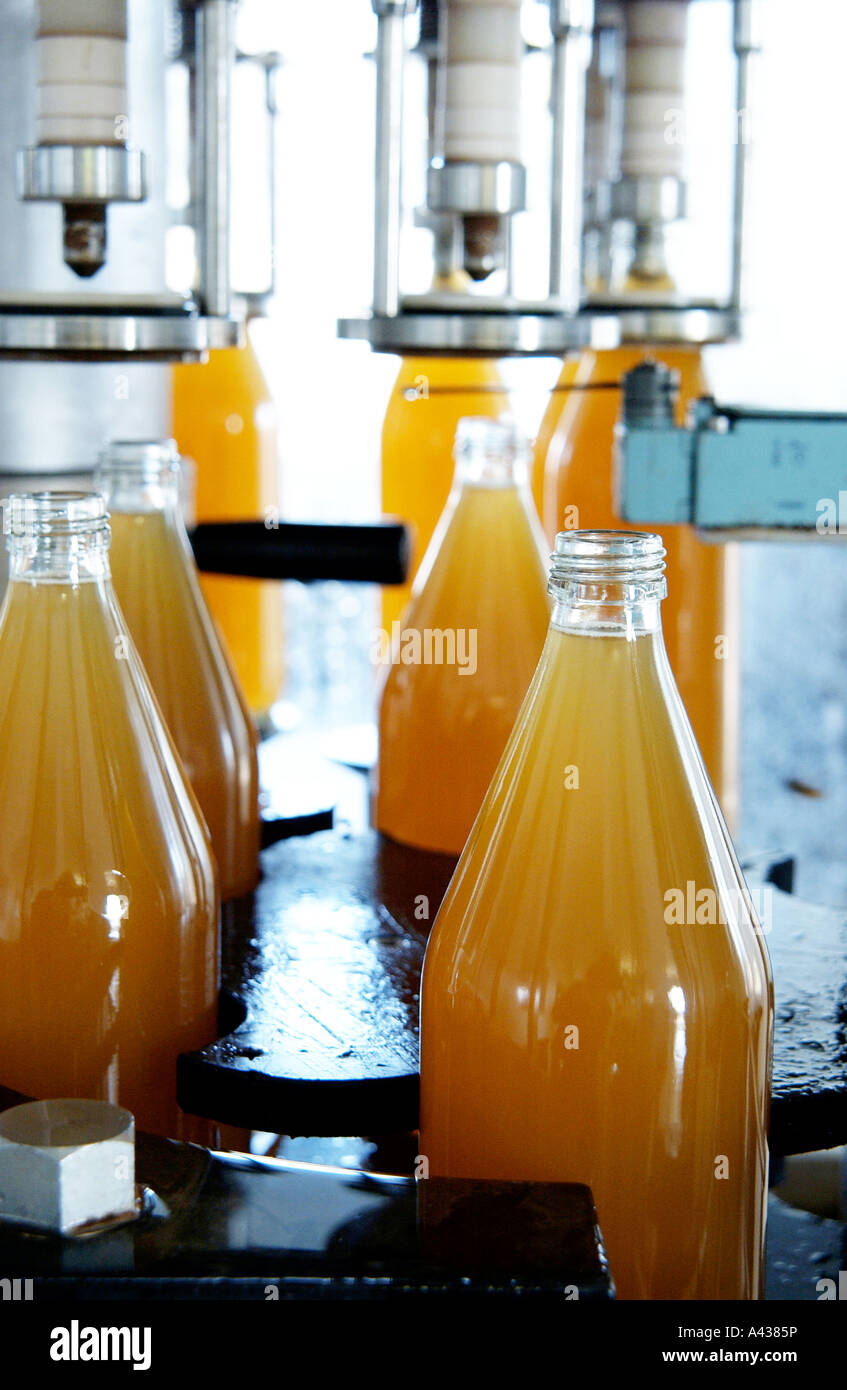 Pequeña línea de producción de jugo de manzana orgánico VORAN MACHINERY
